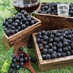 [프레시데이] 고창 줄기제거 아로니아 냉동 생과 특품 5kg