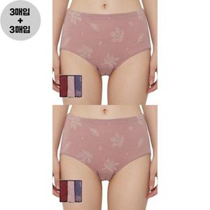 [제임스딘]제임스딘 여성 60수 면스판팬티 맥시 여삼각 팬티 6매 세트 속옷 선물