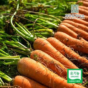 제주오가닉스 유기농 당근 5kg (중 개당 100-120g)
