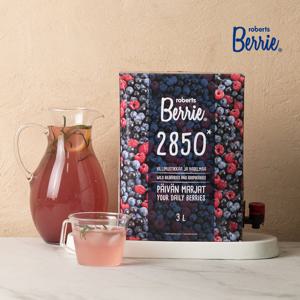 로버츠베리에 빌베리&라즈베리 과채주스 2850 디스펜서 3000ml