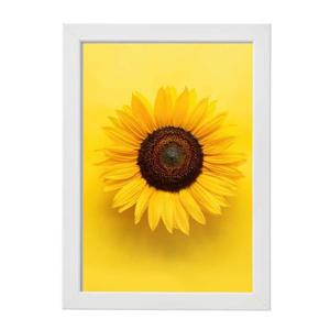 홈테리어 해바라기 액자 그림 돈들어오는 선물 집들이