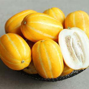성주 아삭달콤 가정용 꿀 참외 랜덤과 5kg
