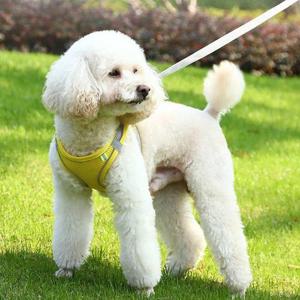 애완용품 애견 시원한 여름 매쉬 조끼 산책줄 하네스 선물