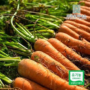 제주오가닉스 유기농 당근 5kg (특 개당 200g이상)
