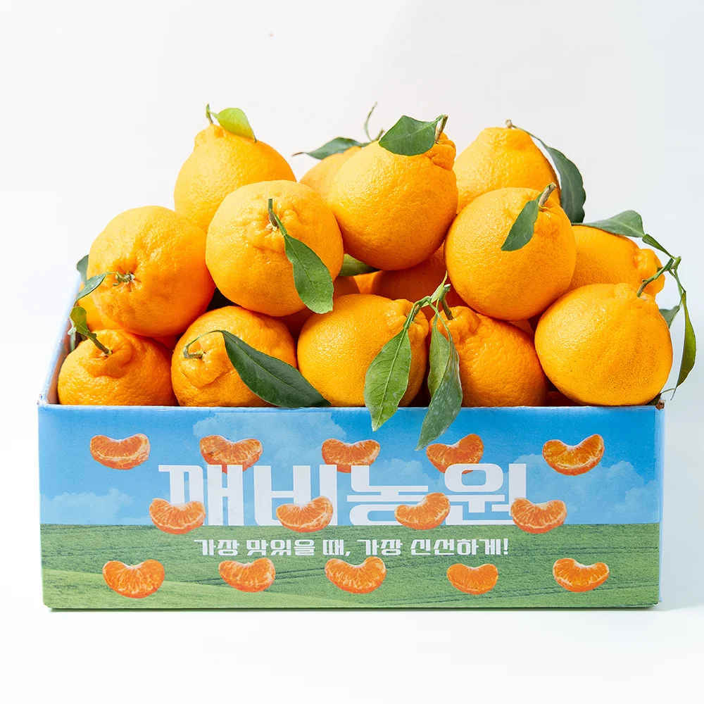 [깨비농원] 고당도 제주 한라봉 가정용 4kg 꼬마