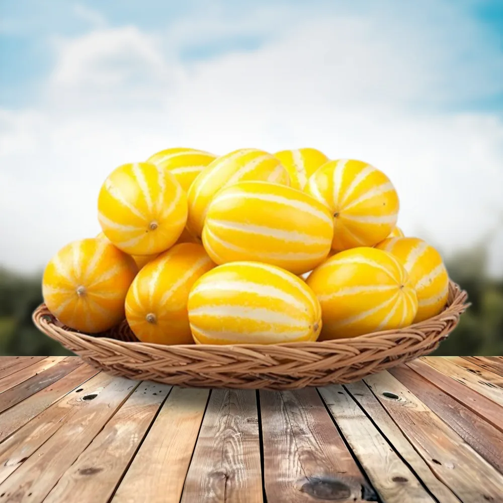 산지직송 성주참외 못난이 특상품 참외