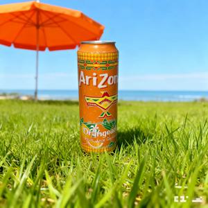 다이버전 세이프 애리조나 그린 티 알루미늄 캔 독립된 칸막이와 다양한 맛 스타일로 안전한 보관