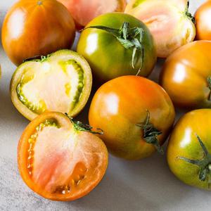 부산 대저토마토 1kg(혼합과) [팩포장] 단맛! 신맛! 짠맛! 부산명물