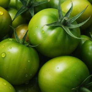 단짠 대저 짭짤이 토마토