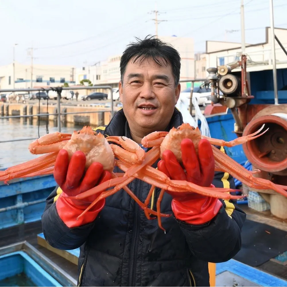 포항 구룡포 선주직송 자숙 홍게 특A급 수율