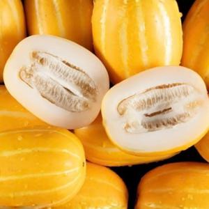 산지한입 경북 성주 참외