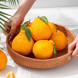 [더조은] 제주직송 한라봉 가정용(실중량) 8과 내외 / 1.5kg