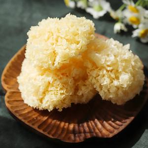 무농약 건조백목이버섯 꽃송이버섯 흰목이 은이 마라탕 훠궈 전골 무침
