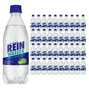 라인바싸 라임&민트향 탄산수 500ml 40개