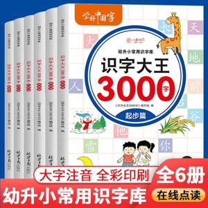 6pcs 그림책 3000 단어 한자 병음 Han Zi 읽기 조기 교육 문맹 퇴치 계몽 어린이 3-8 세