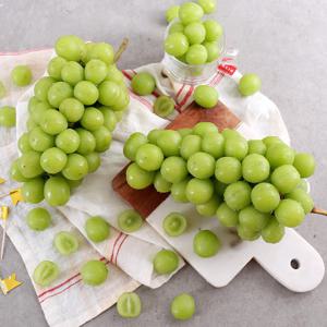 고당도 샤인머스켓/쥬얼머스켓 1.5kg 외 중량별 선택