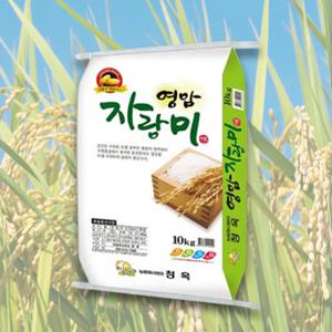 국내산 영암 자랑미 25년 상등급쌀 10kg, 20kg