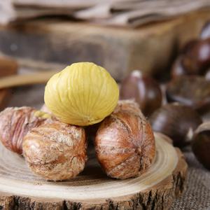 달콤한 영양간식 구워먹는 칼집 약단밤 5kg