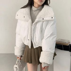 여성용 세련된 한국 스타일 코튼 재킷 양털 안감 루즈핏 두꺼운 긴소매 칼라 겨울 코트 숏 브레드 스타일 탑