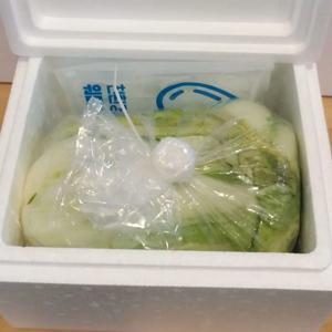 국내산 절임배추 황금배추 소포장 3kg