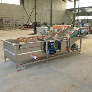 가장 저렴한 세탁기 과일 및 채소 모링가 잎 세척기 생강 마늘 굴 세척 라인 가격