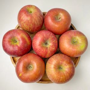 [흙이음] 부사 사과 특품 (2kg/3kg/5kg)