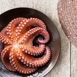 아주부 통영 산지직송  돌문어  제수용 자숙 문어 1.2kg 이상 (1미)