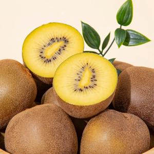 [제주애월농협] 제주 하트 골드키위 1kg x 2팩