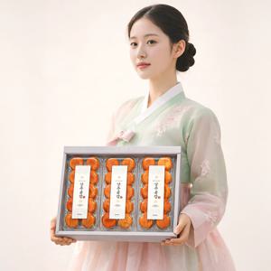 세원팜스 상주곶감 반건시 명절 과일선물세트