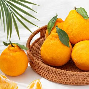 [더조은] 제주직송 한라봉 가정용(실중량) 20과 내외 / 4.5kg