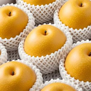 new_농부를 찾아서 고당도 나주배 대과(3kg/5kg)