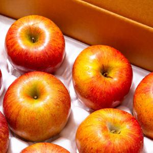 [더조은] 알뜰 꿀사과 부사사과 10kg 흠과 48-52과