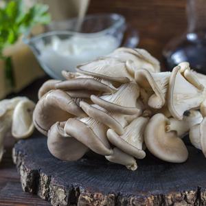 늘바른 국내산 친환경 무농약 느타리버섯200g2팩