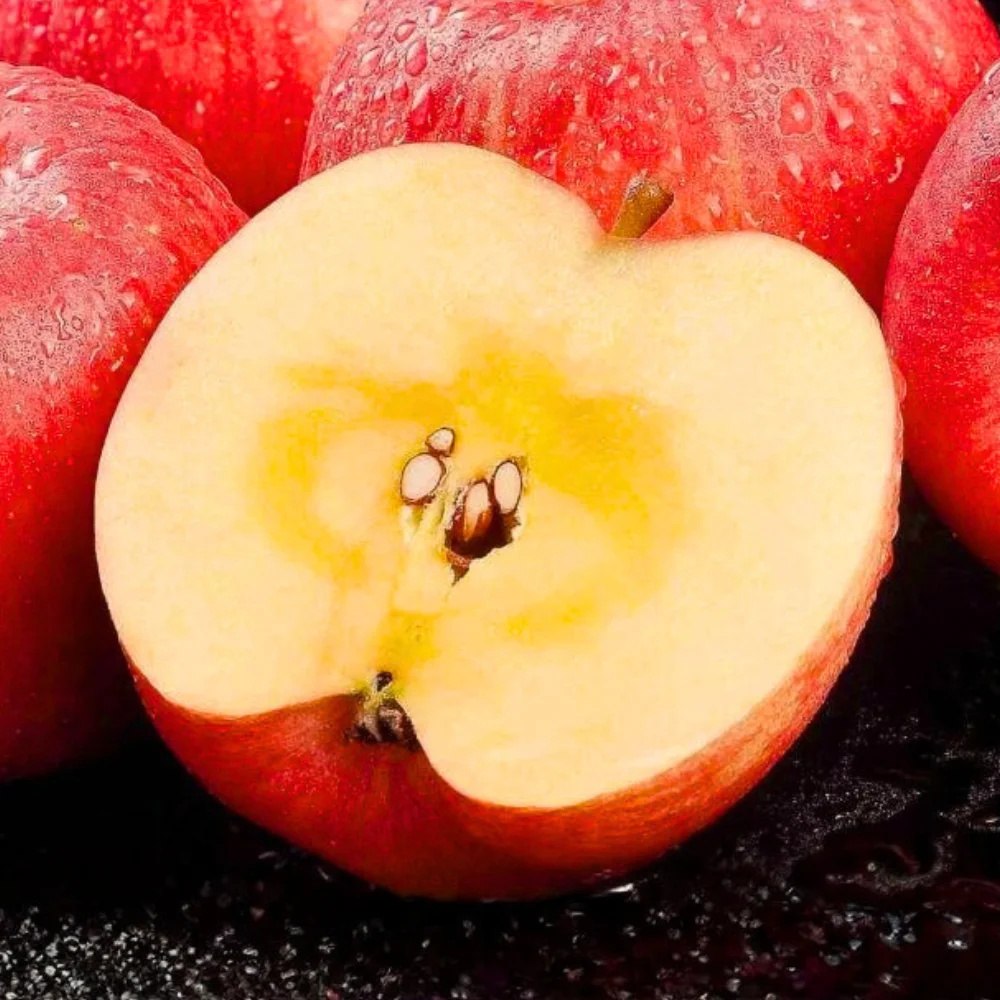 아삭아삭 달달한 부사사과 가정용 못난이