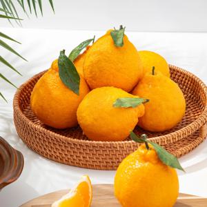 [더조은] 제주직송 한라봉 가정용(실중량) 6과 내외 / 1.5kg