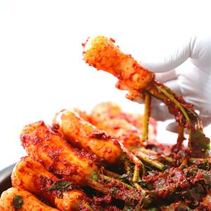 전라도 여수 100% 국내산 갓김치 파김치 총각김치