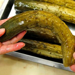 산지한입 상큼한 오이지 통오이지 20개입 국내산