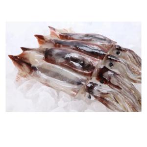 [푸디앤]  구룡포 손질 통 오징어 2미 (400g 내외) /원양산 선상 급랭