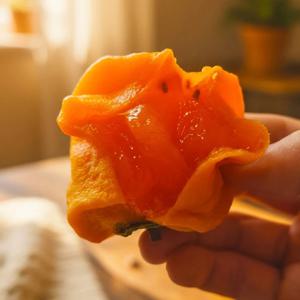 가정용 봉지 곶감 400g~ 25년 영동 햇곶감 쫀득 촉촉 달콤 과육풍부 뛰어난 당도와 색감