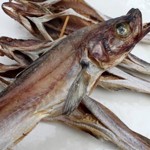 강원도 고성 반건조 코다리 4미 크기별 선택