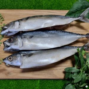 [푸디앤] 왕특대 자반 고등어 2미 (손질 후 1미당 450g~500g) / 팔뚝만합니다