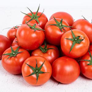 완숙 찰토마토 중량별 선택 (사이즈 M ~ 2s)