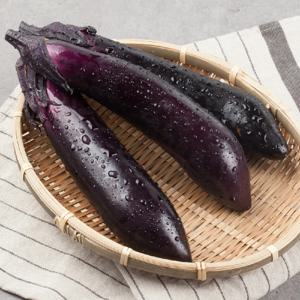국내산 가지 (특품) 5kg 촉촉 탱글 신선한 제철 채소