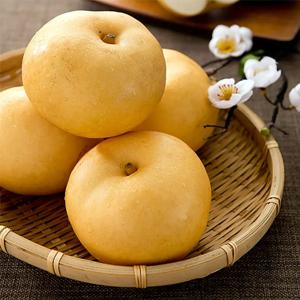 [푸디앤] 햇 나주배 3kg-5kg /실속형 가정용