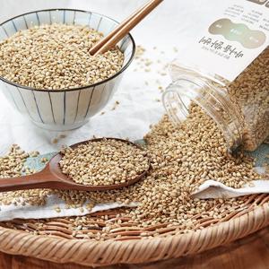 혈당 관리에 좋은 바나듐 발아 현미 1kg