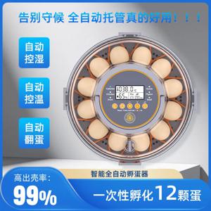 해상 운송용, 닭, 오리, 거위, 메추리, 비둘기 알을 위한 맞춤형 소형 인큐베이터, 가정용 인큐베이터, 완전 자동화