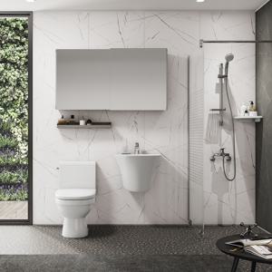 이지바스3 화이트 피에트라 공용욕실