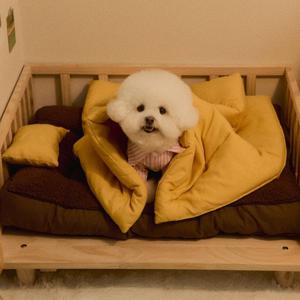 뭉연구소 아기궁뎅이 콩섬유 강아지 이불 베개 세트 5colors