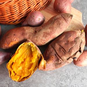 [더조은] 국내산 꿀뚝뚝 호박고구마 10kg 한입(50g내외)