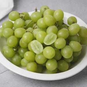 [맛있는가家]씨없는 고당도 애플 청포도 1kg 2kg 무료배송